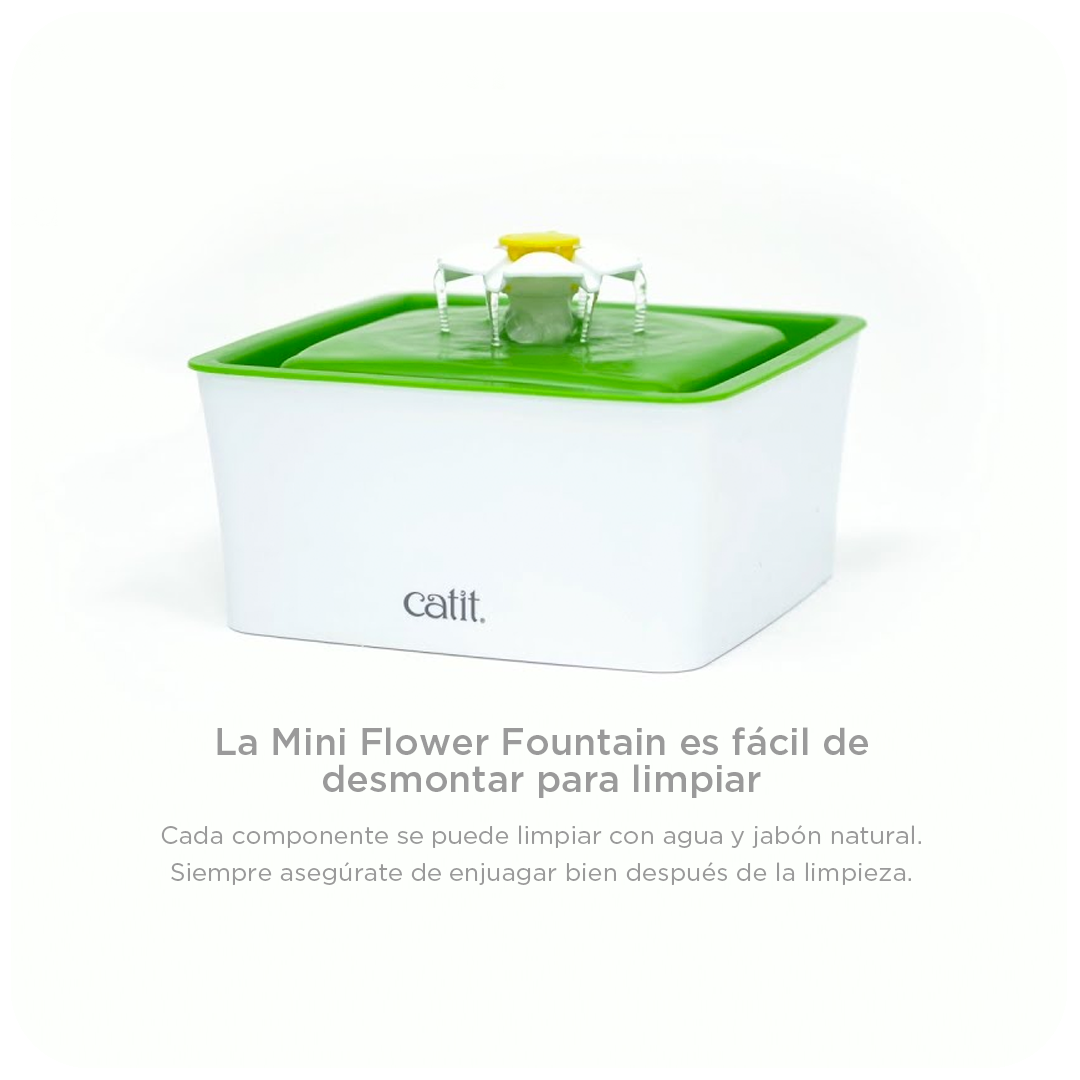 Mini Flower Fountain.