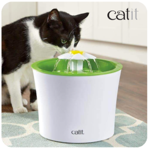 Fuente Catit senses verde